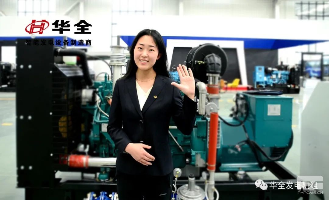 200千瓦燃氣發(fā)電機組